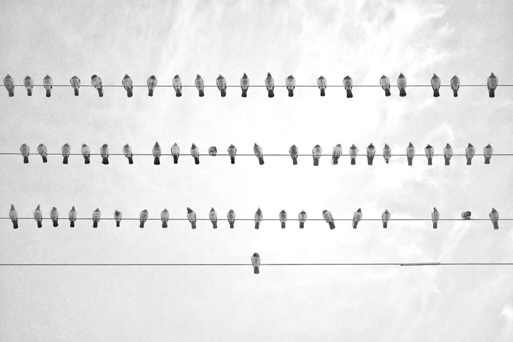 膣トレを始める女性専用レッスンの内容とは？