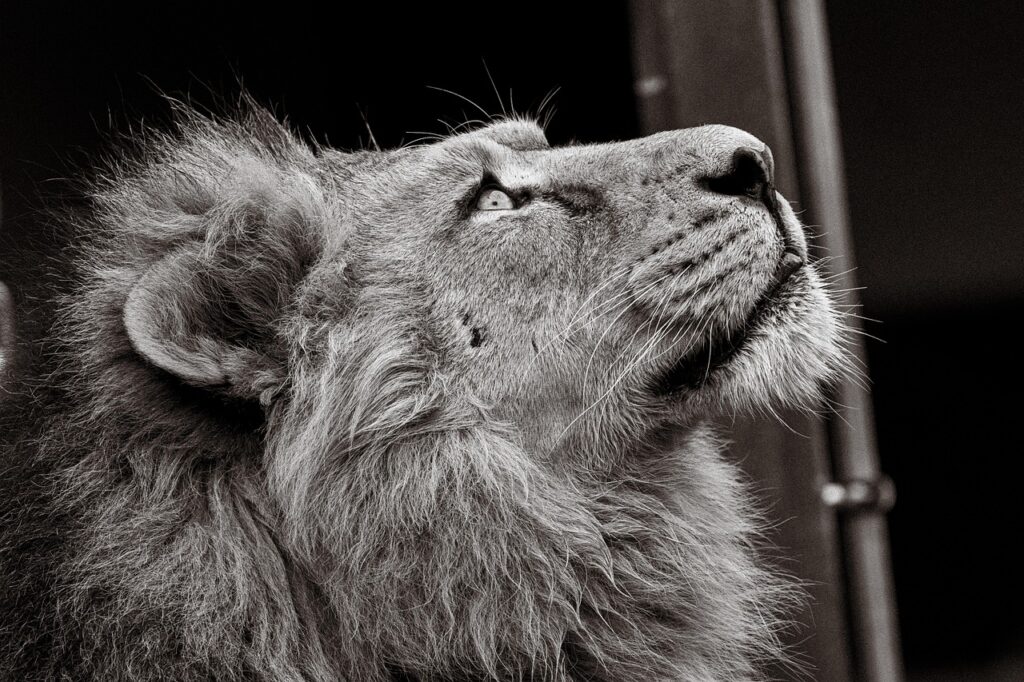 膣トレイベントに参加した人の口コミは？