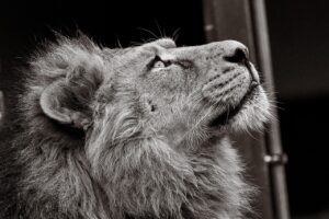 膣トレイベントに参加した人の口コミは？