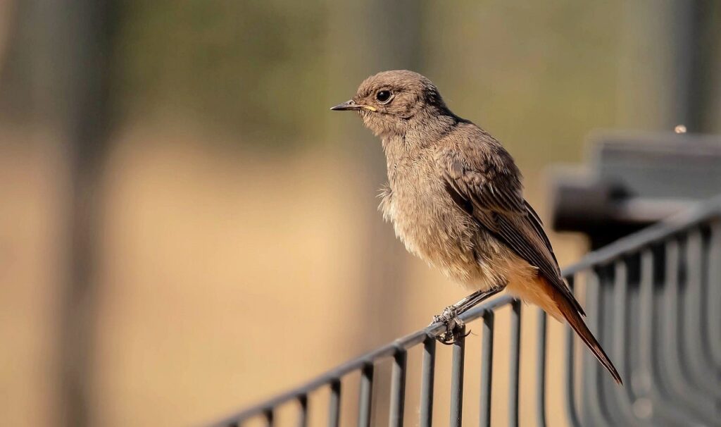 トイレが近い対策で知っておくべきポイントは？