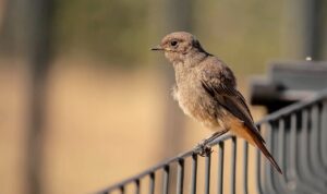 トイレが近い対策で知っておくべきポイントは？