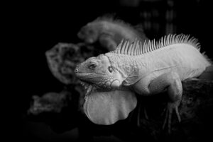 膣トレとはどのような効果があるのか？