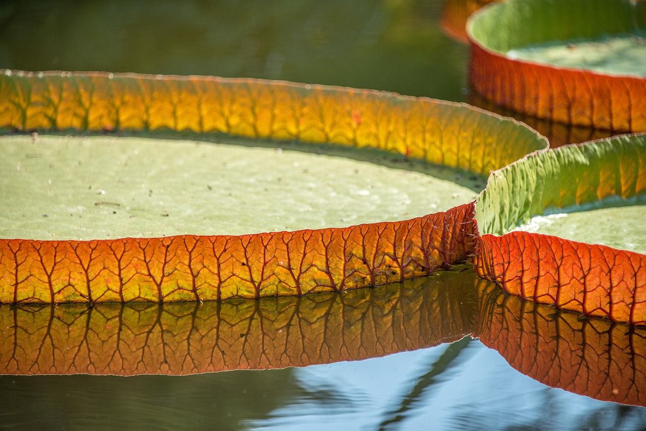 尿もれ対策に最適なパッドの使い方は？