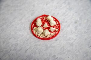 軽度の尿もれ改善に効果的な膣トレの方法は？