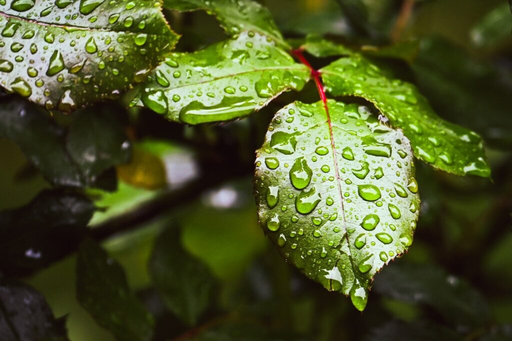 膣トレに効果的なデリケートゾーンの保湿方法とは？