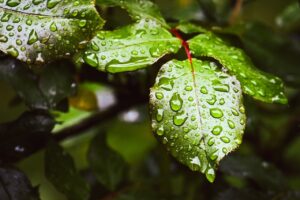 膣トレに効果的なデリケートゾーンの保湿方法とは？