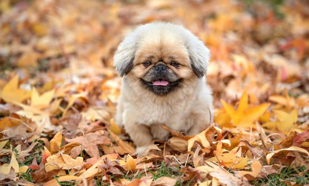 膣トレの効果が現れる期間はどのくらい？