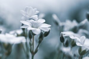 デリケートゾーンのゆるみケアはどれが効果的？比較してみました！