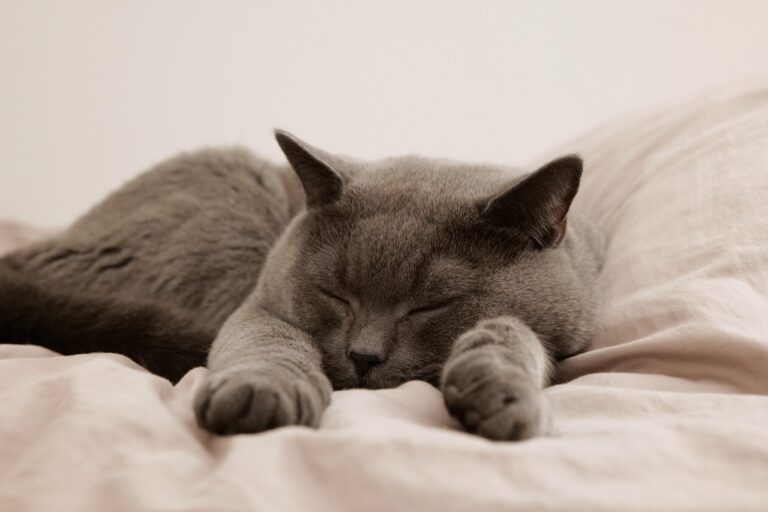 睡眠中の尿もれ対策におすすめの方法は？