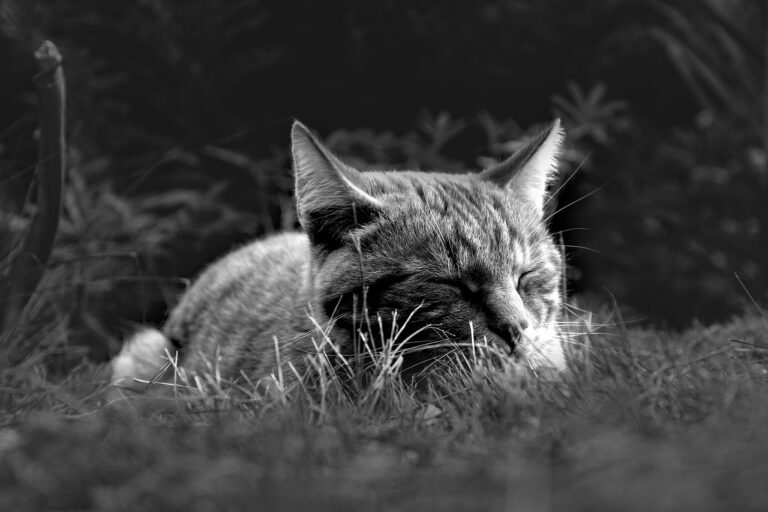 睡眠中の尿もれ対策はどの口コミが効果的？