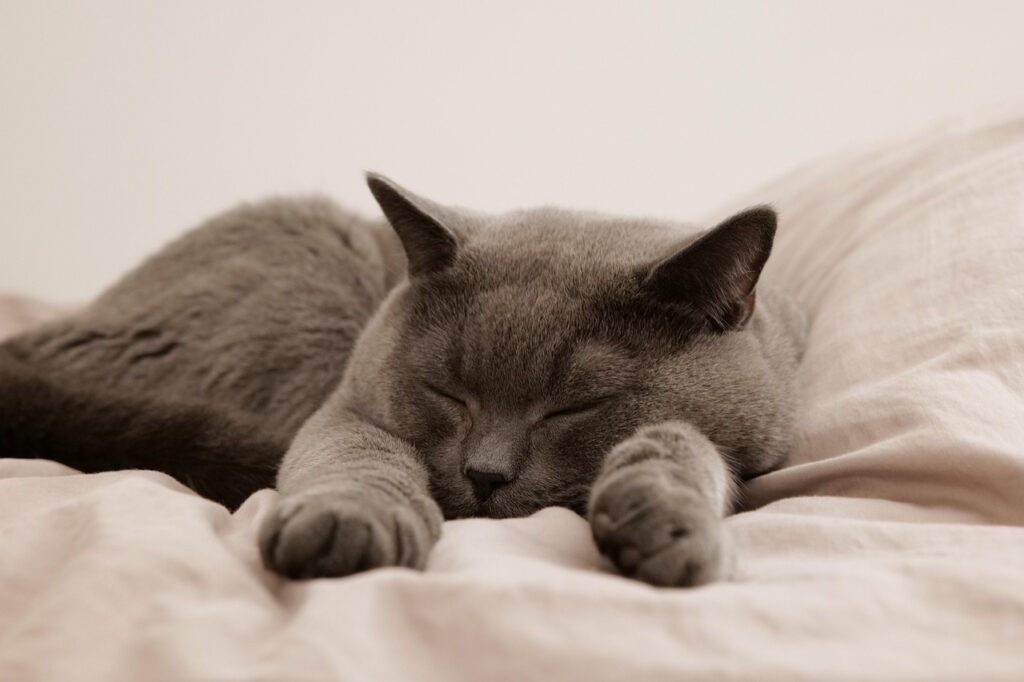 睡眠中の尿もれ対策は本当に効果的？評判を徹底調査！